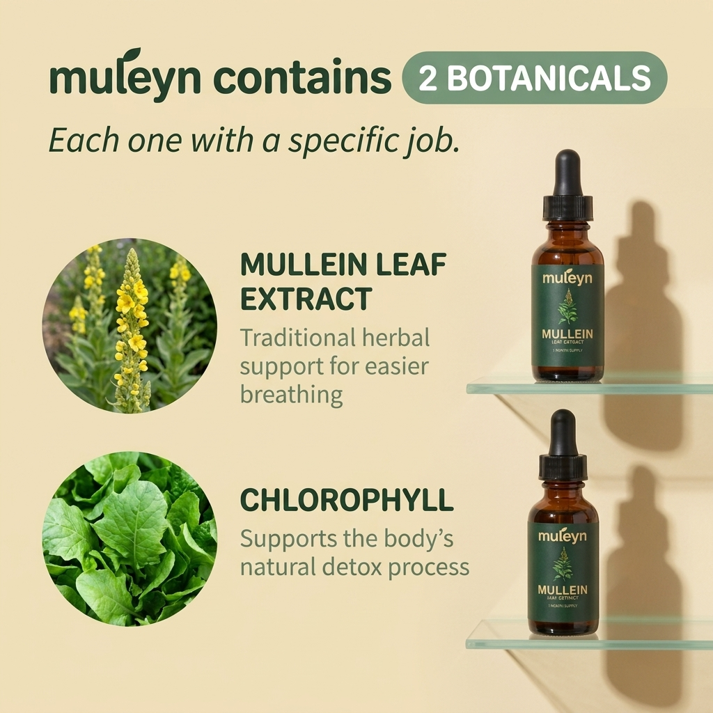 Wildcrafted Mullein Leaf Drops