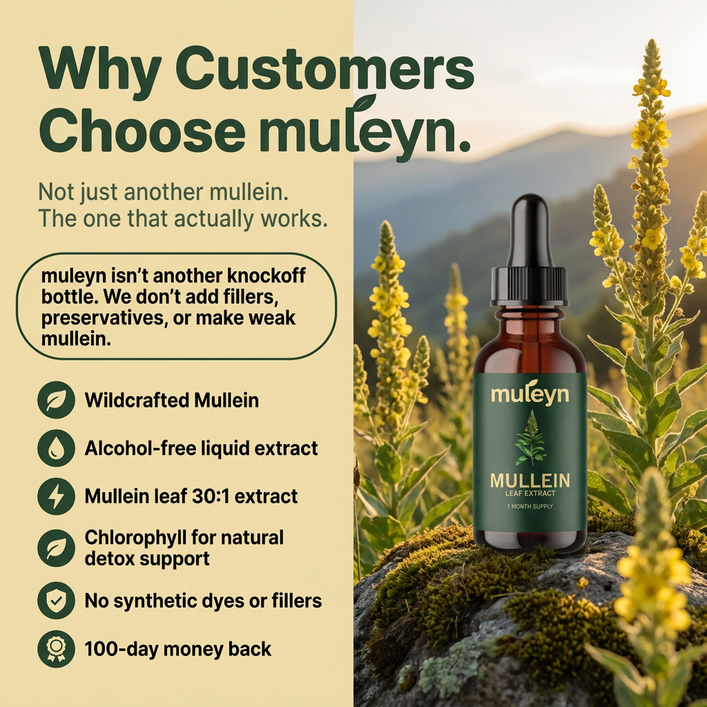 Wildcrafted Mullein Leaf Drops