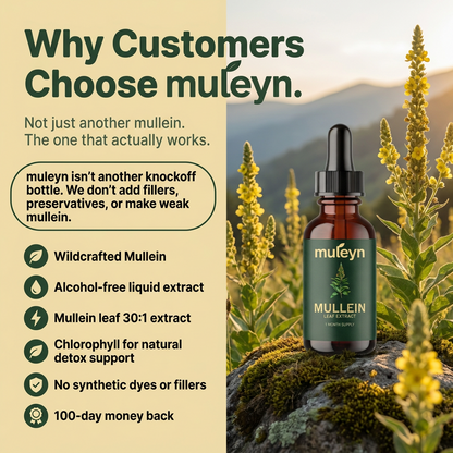 Wildcrafted Mullein Leaf Drops